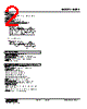 M8PA-C44-R Datasheet HTML 2Page - M-System Co.,Ltd. 