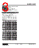 W2XT-2V2Z1-R Datasheet HTML 3Page - M-System Co.,Ltd. 