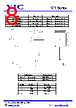 GT-502GG Datasheet HTML 8Page - Yuechung International Corp. 