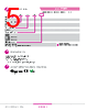 DR10D10 Datasheet HTML 5Page - Sensata Technologies, Inc. 