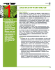 SPACE-NETWORK-DIRECTOR Datasheet HTML 1Page - Juniper Networks, Inc. 