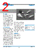 31-5559-RFX Datasheet HTML 2Page - Amphenol Corporation 