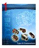 082-6092-RFX Datasheet HTML 1Page - Amphenol Corporation 