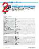 IRS100-R53OF30 Datasheet HTML 2Page - SICK AG 