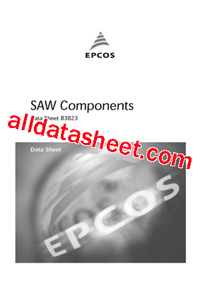 B3823 Datasheet PDF - EPCOS